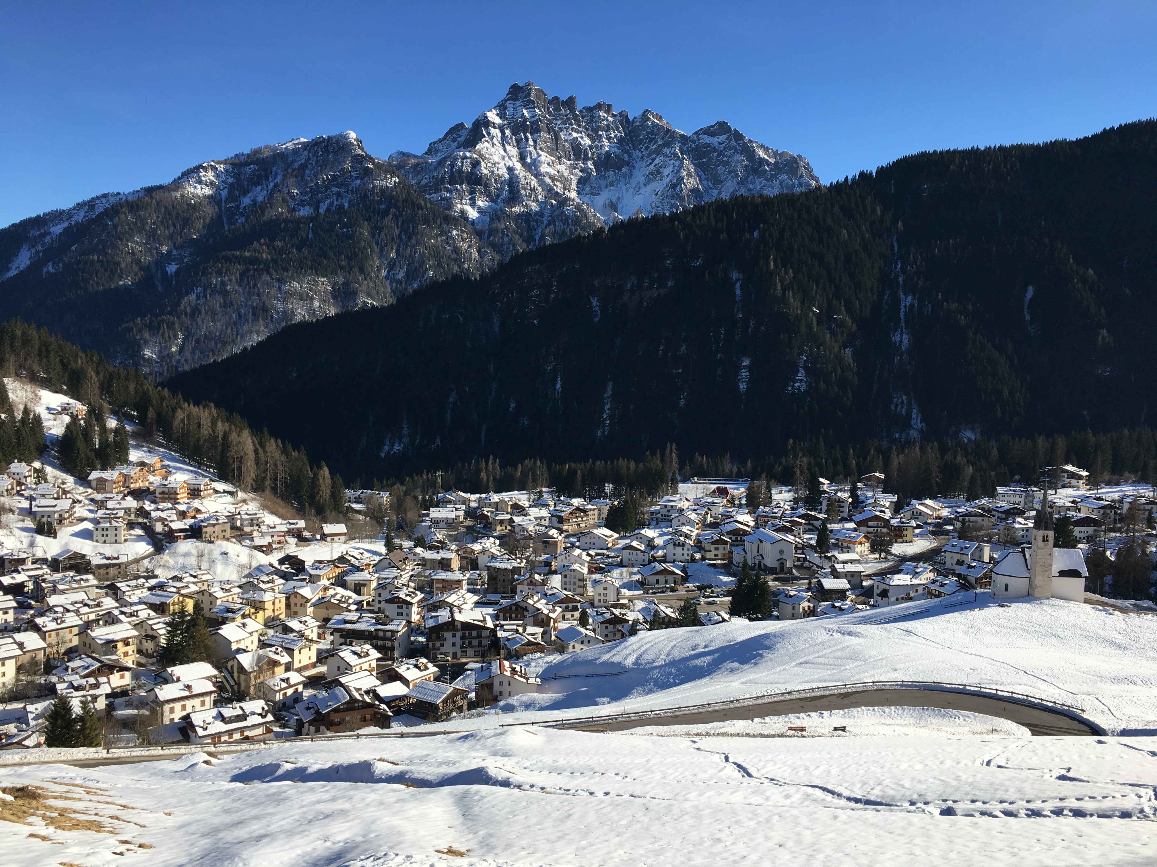 Sci